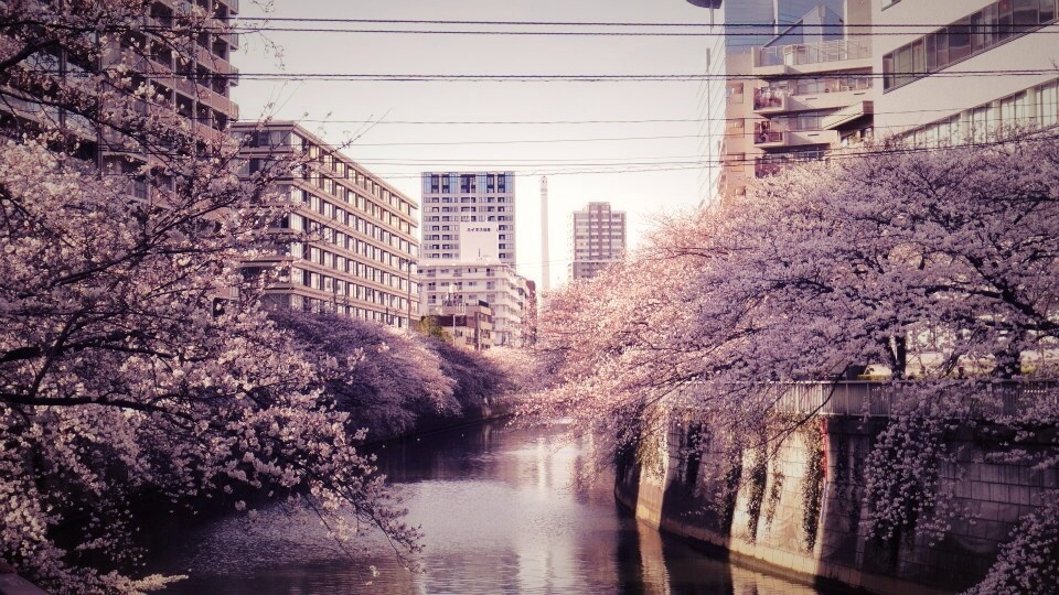 Meguro River