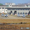 愛知県150周年のお祝いに来てくれたブルーインパルス御一行様の帰還です！