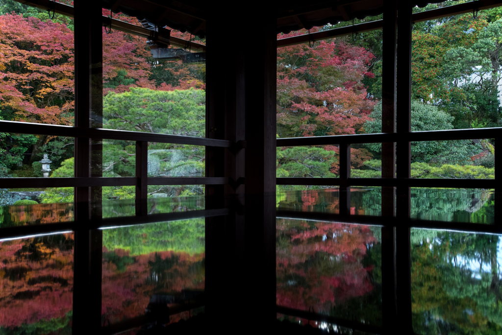 秋の旧竹林院