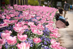名古屋　名城公園