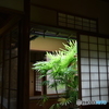 中庭