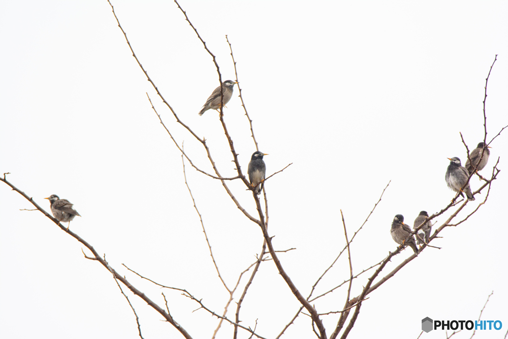 弥富野鳥園内