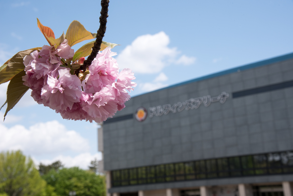 静まり帰った愛知県体育館2020