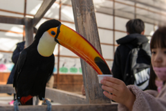 掛川花鳥園