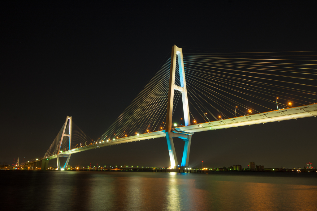 2016 06 05_雨のあじさいとトリトン_28581