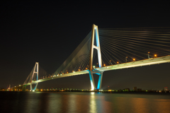 2016 06 05_雨のあじさいとトリトン_28581