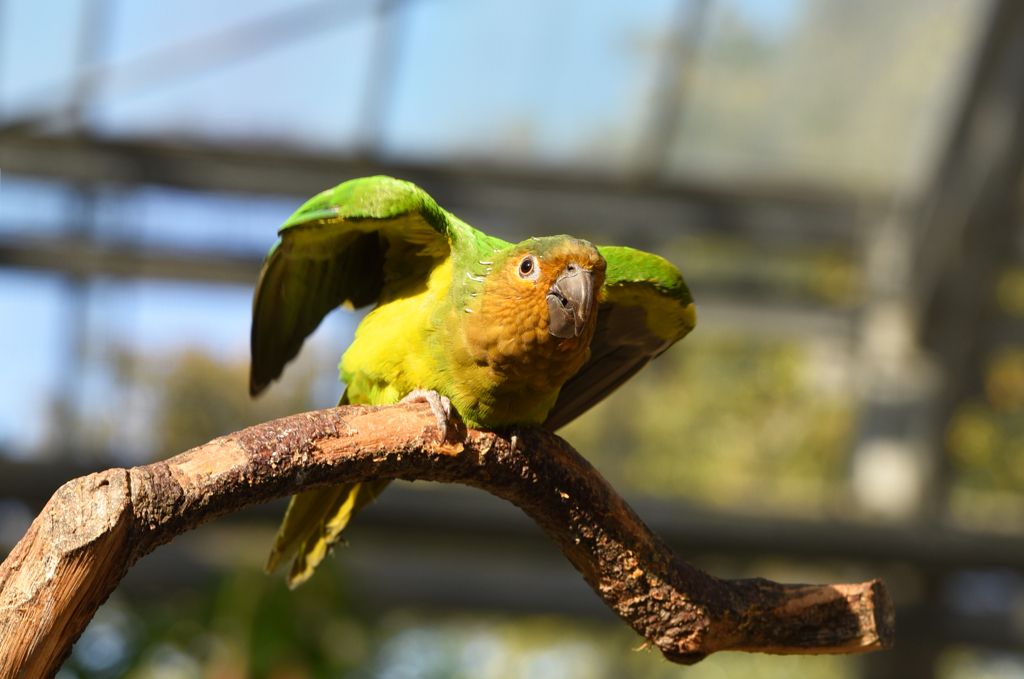 掛川花鳥園