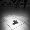 都会でも生きている