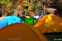 上高地徳沢テント
