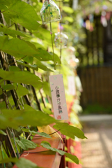 豊田市小渡　夢かけ風鈴