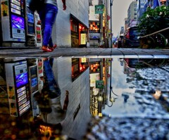 名古屋錦3