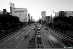2016 11 12_4926