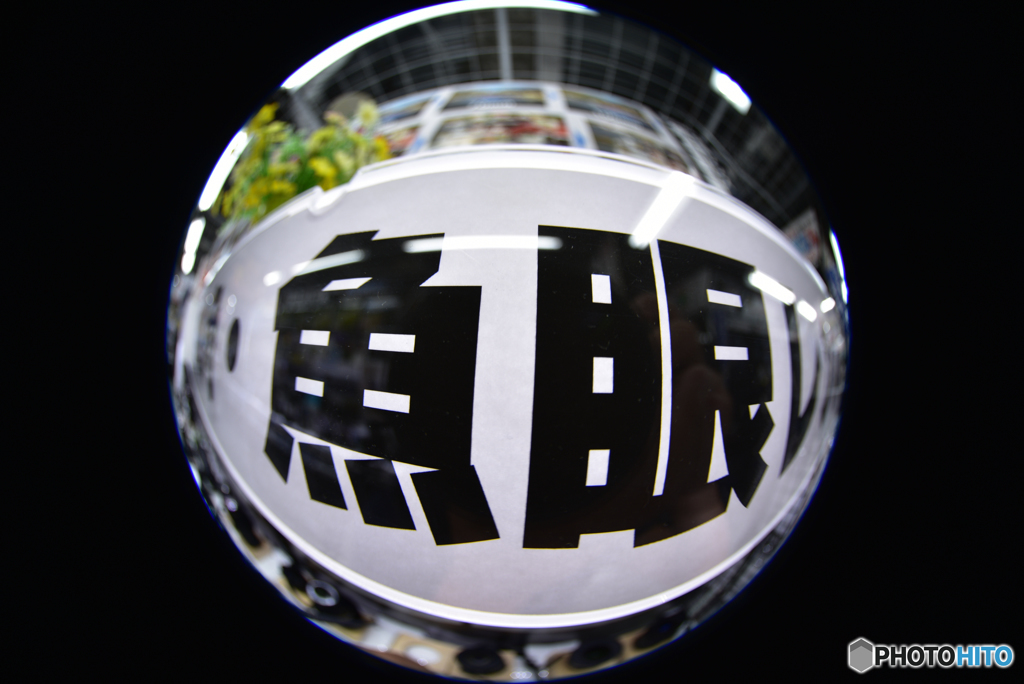 魚目線