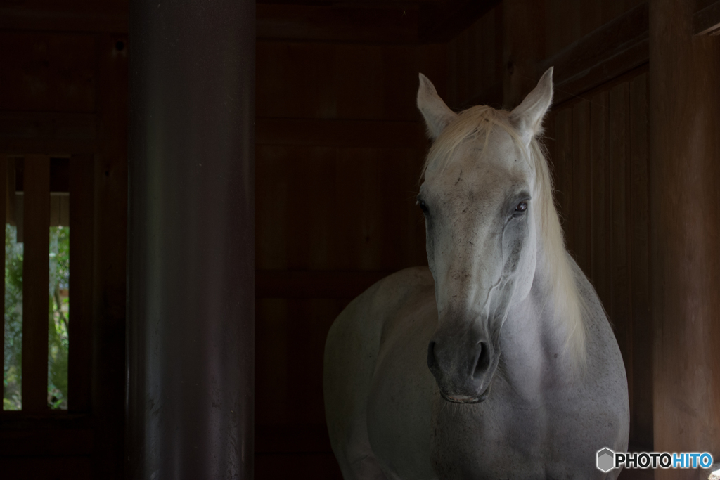 おもてなし伊勢の国