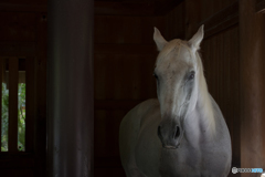 おもてなし伊勢の国