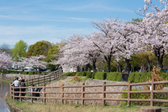 お昼からの公園