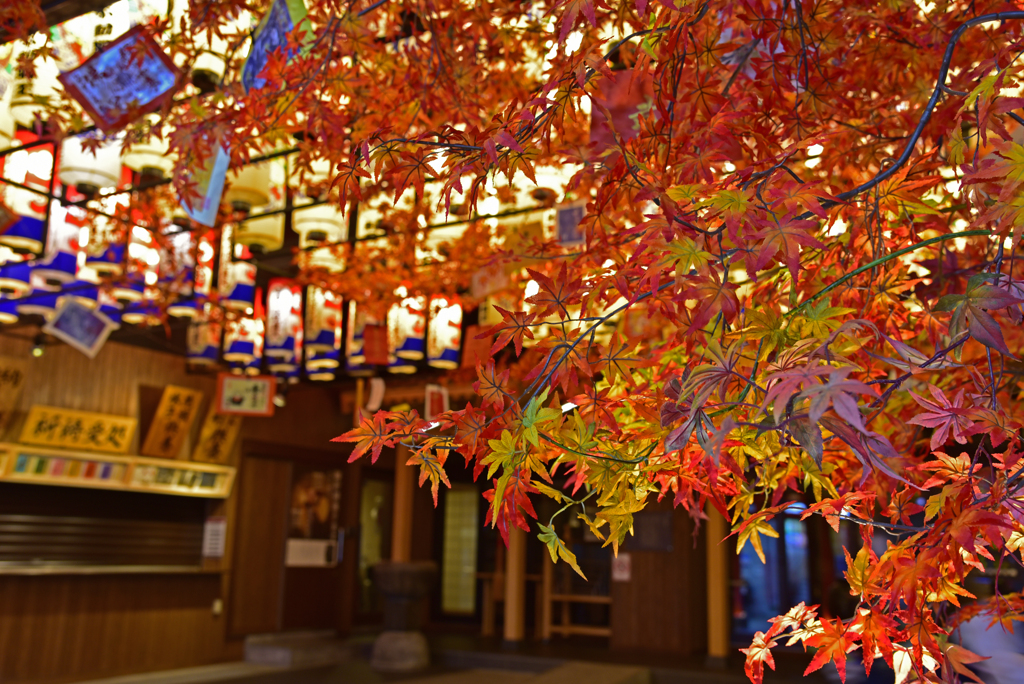 名古屋大須萬松寺
