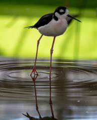 掛川花鳥園