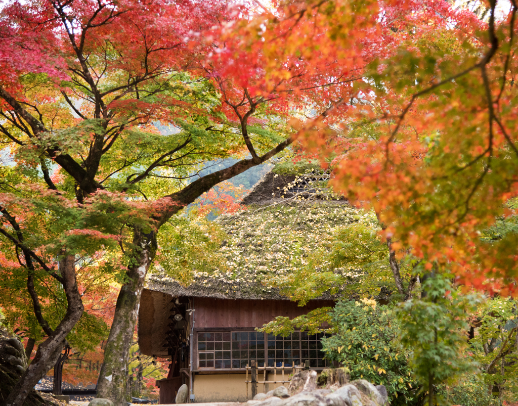 田舎