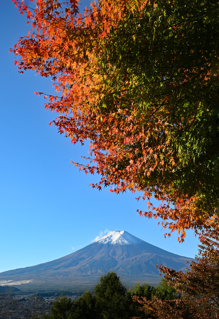 新倉山浅間公園