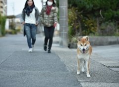 待ちに待ったお散歩