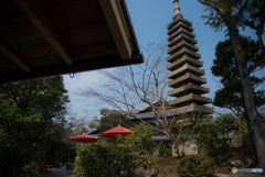 京都　よ～じや