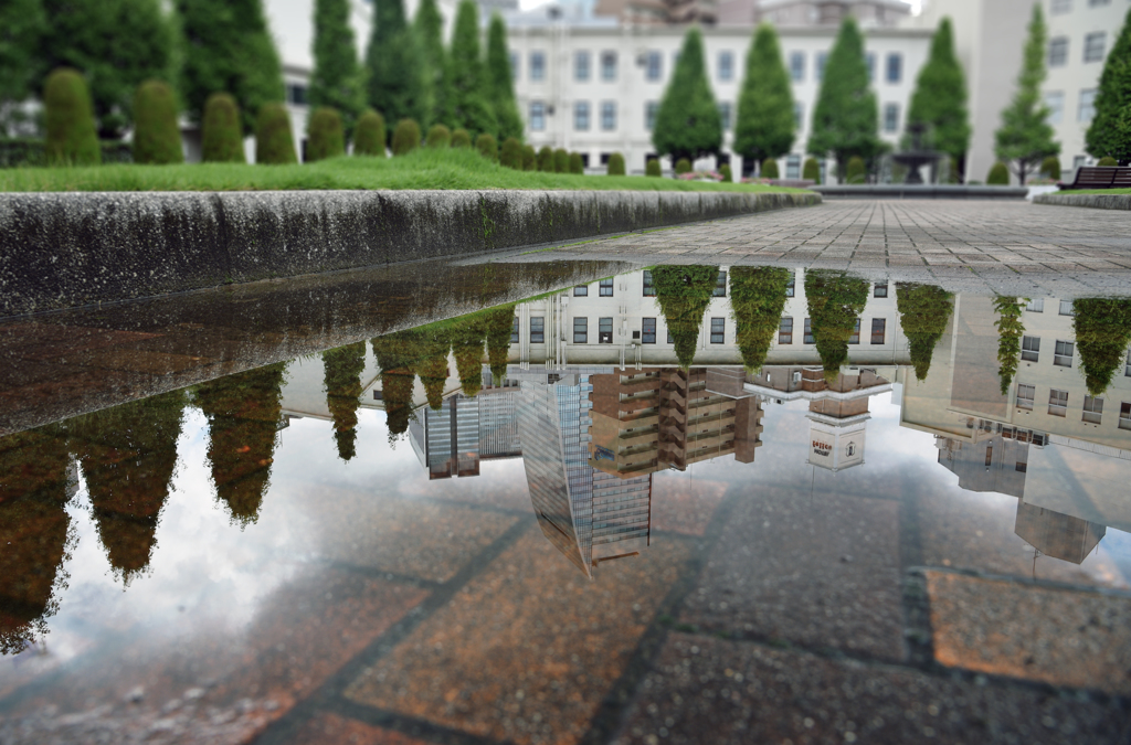 水面都市