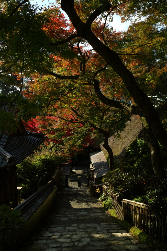 秋待ち小路