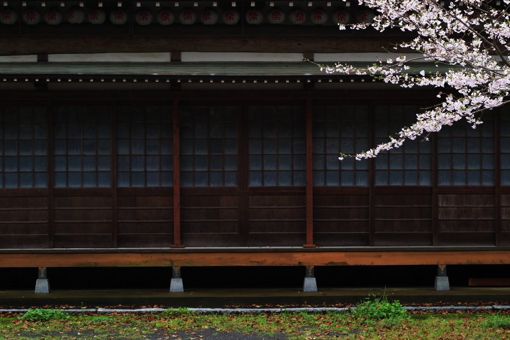 お堂に桜
