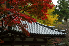 秋色のお寺