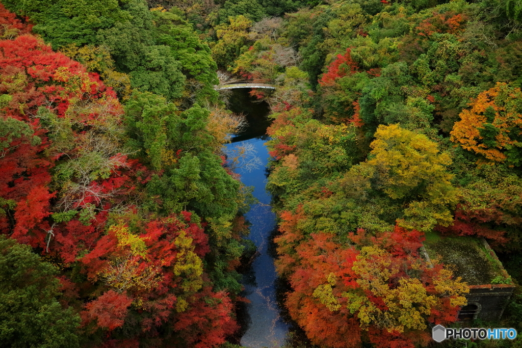 autumn view