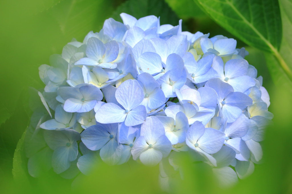 目立たぬように・・