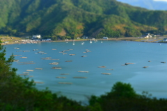 入り江の風景