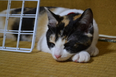 ちょっとお休み