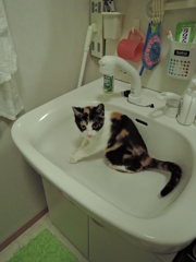 第二の水分補給所