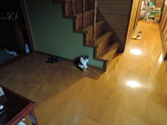 ぽつん