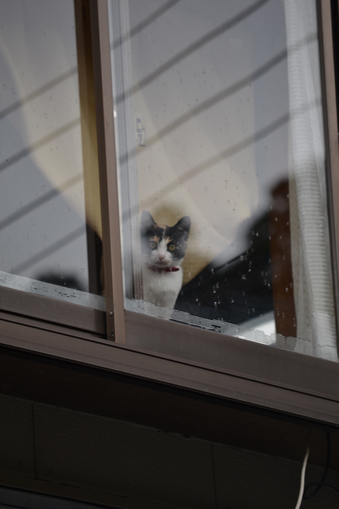 外の様子は？