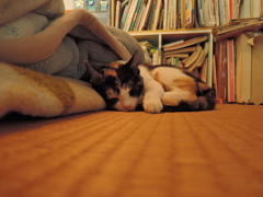 寝ちゃった？
