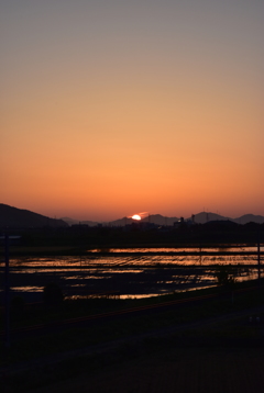 日没
