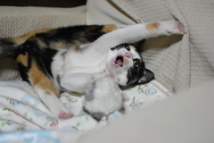 見ないでよ～！