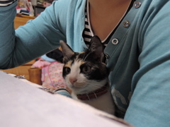 お姉ちゃんといっしょ