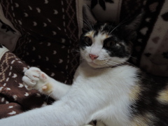 むむ