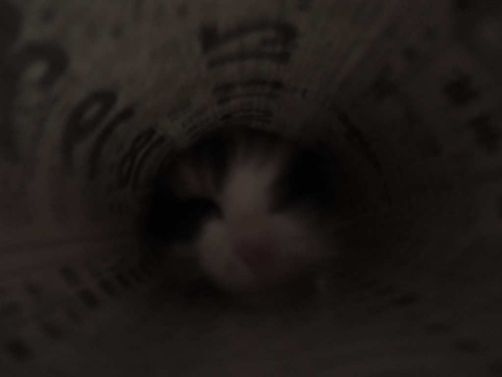 いくよー！２