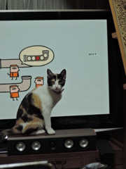 何撮ってんの？