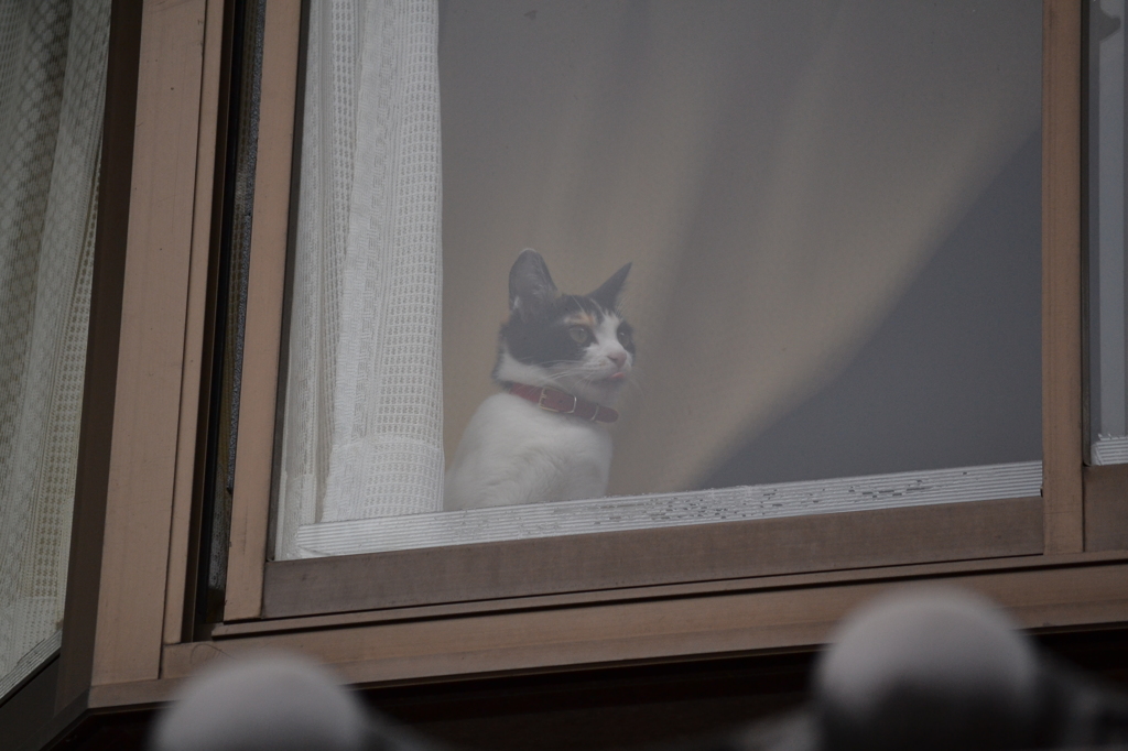 忘れてますよ。