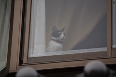 忘れてますよ。