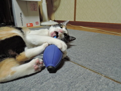 こんなもの　こうしてやる～！