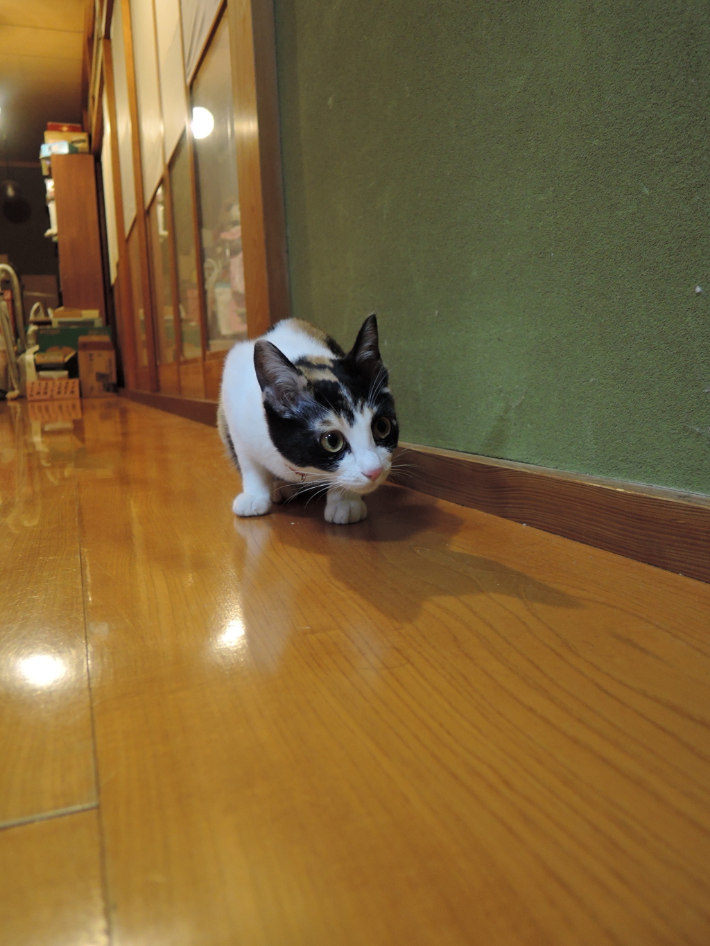 なんだなんだ