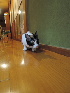 なんだなんだ