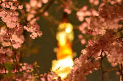 桜 × 東京タワー
